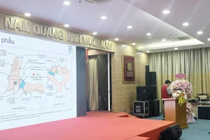 Các diễn giả trình bày tham luận lĩnh vực phẫu thuật cấp cứu thần kinh tại hội thảo.