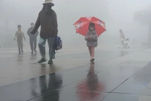 Bụi PM2.5 được đánh giá là tác nhân ô nhiễm không khí có ảnh hưởng tiêu cực nhất tới sức khỏe con người, nhất là bệnh phổi.