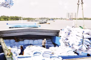 Bốc xếp gạo xuất khẩu tại cảng của doanh nghiệp trên địa bàn Thành phố Hồ Chí Minh. (Ảnh: ANH ĐỨC)