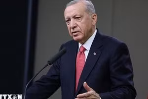 Tổng thống Thổ Nhĩ Kỳ Recep Tayyip Erdogan. (Ảnh: IRNA/TTXVN)
