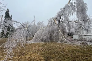 Miền nam Manitoba cũng có thể hứng chịu lượng tuyết rơi từ 10-20 cm do cơn bão Alberta Clipper.