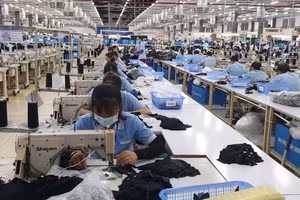Hoạt động cho thuê lại lao động hỗ trợ doanh nghiệp bổ sung nhân lực trong từng thời điểm.