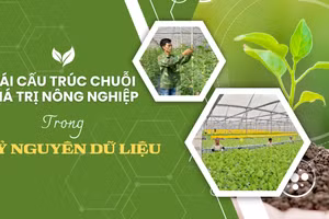 Tái cấu trúc chuỗi giá trị nông nghiệp trong kỷ nguyên dữ liệu