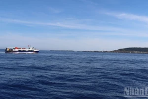 Sở Xây dựng tỉnh Quảng Ngãi yêu cầu các đơn vị vận tải thủy tuyến Sa Kỳ-Lý Sơn chủ động tổ chức phân lịch chạy tàu trên tuyến, phù hợp với yêu cầu đi lại của khách trong dịp Tết, tuyệt đối không để xảy ra tình trạng ùn ứ khách tại cảng.