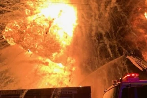 Ảnh minh họa. (Nguồn: nsw)