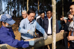 Ông Lê Minh Hoan - Phó Chủ tịch Quốc hội, nguyên Bộ trưởng Nông nghiệp và Môi trường: "Phải lấy sự hạnh phúc của người nông dân làm thước đo phát triển kinh tế nông nghiệp".