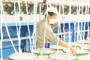 Chuỗi giá trị tuần hoàn từ cây gai xanh của Công ty cổ phần Tập đoàn Gai Thiên Phước, góp phần hình thành nguồn nguyên liệu xanh cho ngành dệt may.