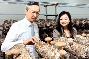 Khách hàng Nhật Bản khảo sát tại một cơ sở ứng dụng công nghệ sinh học trong sản xuất nấm.