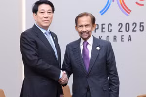 Chủ tịch nước Lương Cường và Quốc vương Brunei Hassanal Bolkiah tại APEC 2025 ở Hàn Quốc. (Ảnh: LÂM KHÁNH/TTXVN)