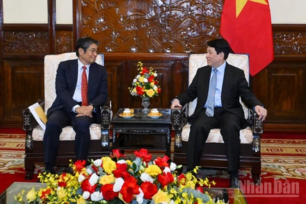Chủ tịch nước Lương Cường và Đại sứ Nhật Bản tại Việt Nam Ito Naoki tại buổi tiếp.
