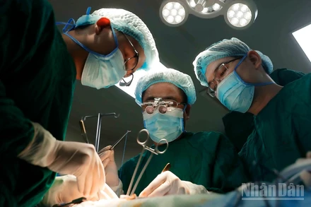 Ê-kíp tiến hành ghép thận cho bệnh nhân.