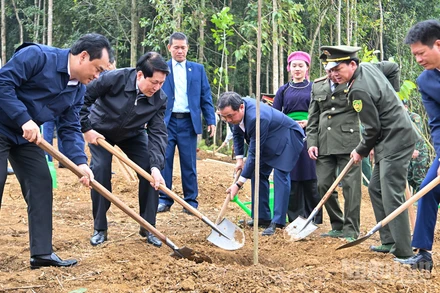 Chủ tịch nước Lương Cường và các đại biểu trồng cây tại Lễ phát động “Tết trồng cây đời đời nhớ ơn Bác Hồ” Xuân Bính Ngọ.