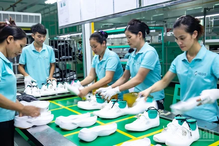 Gia công, sản xuất giày xuất khẩu tại Công ty TNHH Regis.