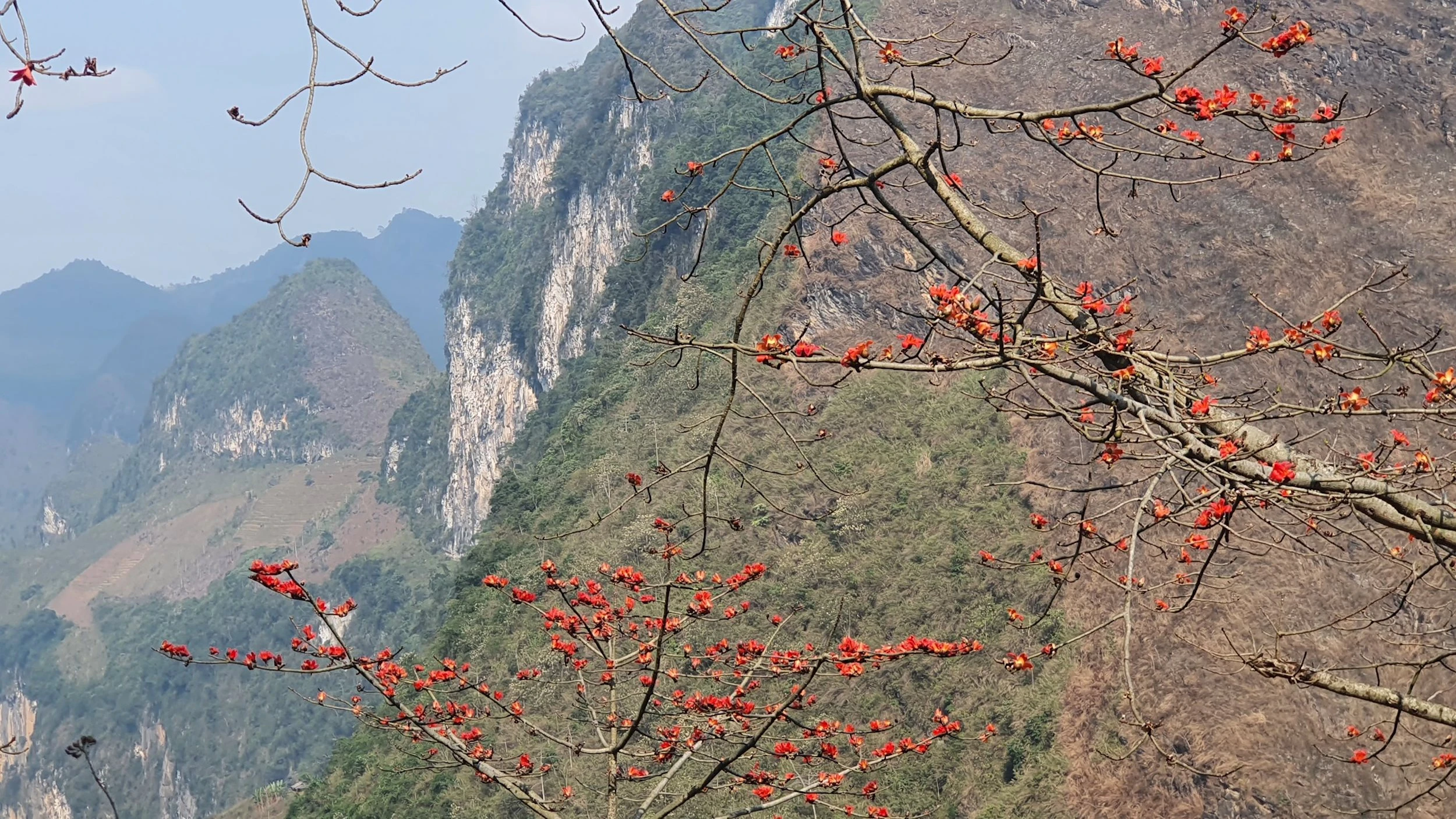 Sự lãng quên một nơi nào đó, đôi khi, lại là ân sủng dành cho dân mê xê dịch.