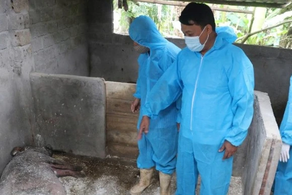 Các cấp chính quyền và lực lượng chức năng trong tỉnh đang nỗ lực kiểm soát và phòng, chống dịch.