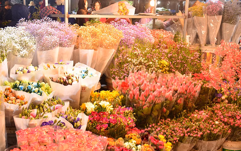 Nhộn nhịp chợ hoa đêm Quảng Bá ảnh 7