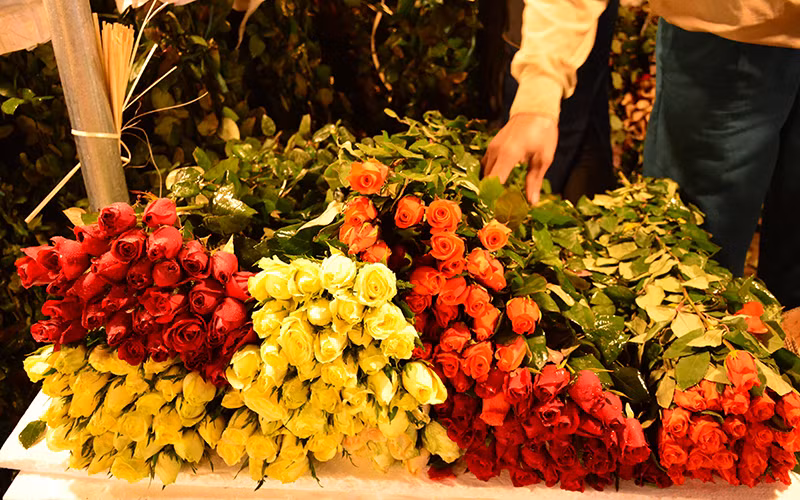Nhộn nhịp chợ hoa đêm Quảng Bá ảnh 5