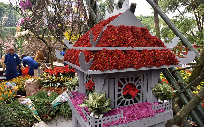 Hoa anh đào khoe sắc rực rỡ giữa Hà Nội ảnh 6