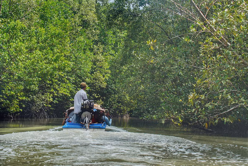 Xuyên rừng đước ngập mặn đất mũi Cà Mau ảnh 11 Xuyên rừng đước ngập mặn đất mũi Cà Mau ảnh 11