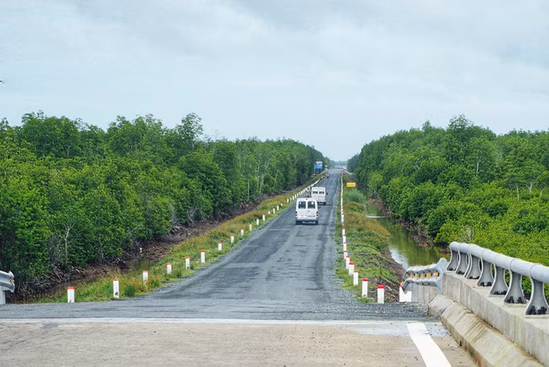 Xuyên rừng đước ngập mặn đất mũi Cà Mau ảnh 10 Xuyên rừng đước ngập mặn đất mũi Cà Mau ảnh 10