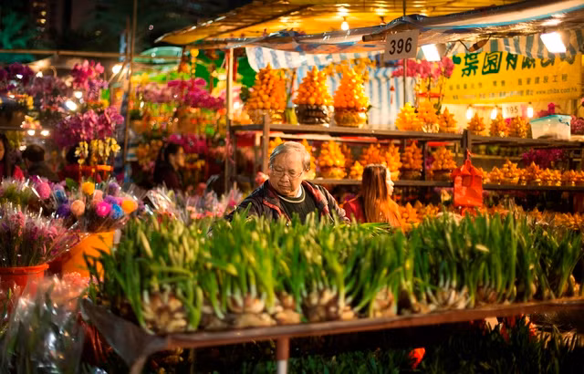 Không khí rộn ràng đón Tết Đinh Dậu trên thế giới ảnh 5