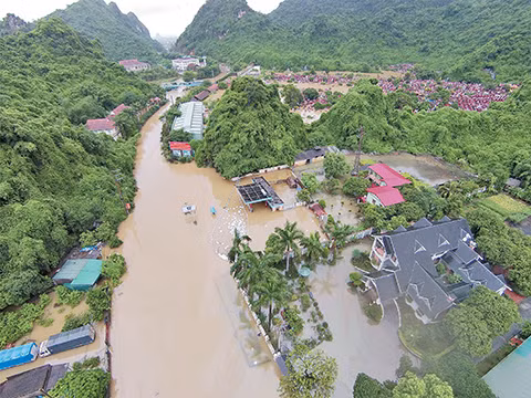 Môi trường - SOS ảnh 1