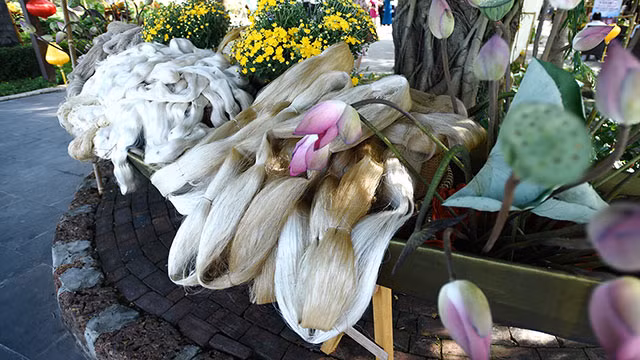 Nghề tơ lụa ở Mã Châu ảnh 4