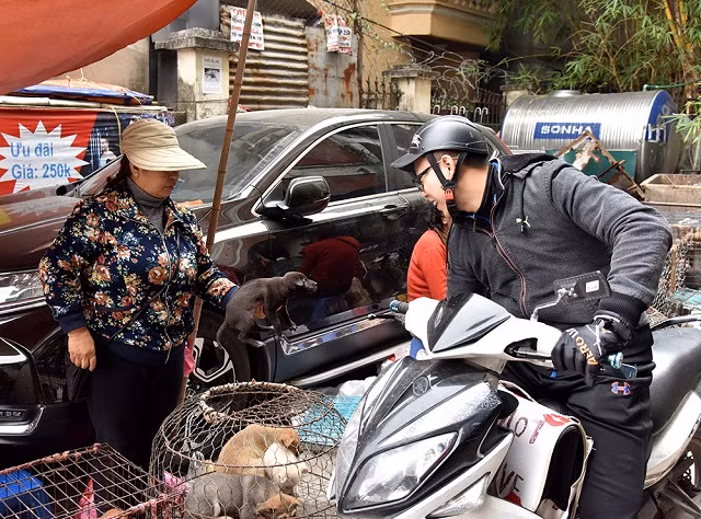 Phiên chợ Bưởi ngày 29 Tết ảnh 9