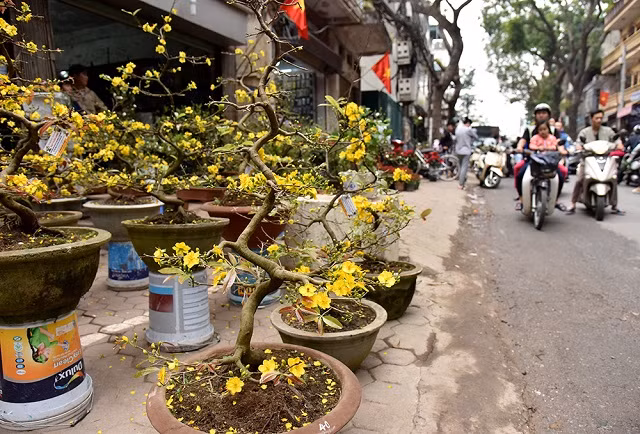 Phiên chợ Bưởi ngày 29 Tết ảnh 3