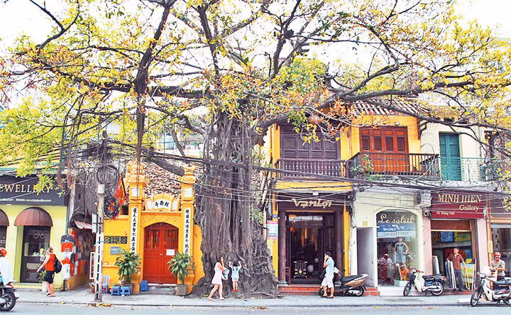 Xuân trong phố cổ ảnh 5