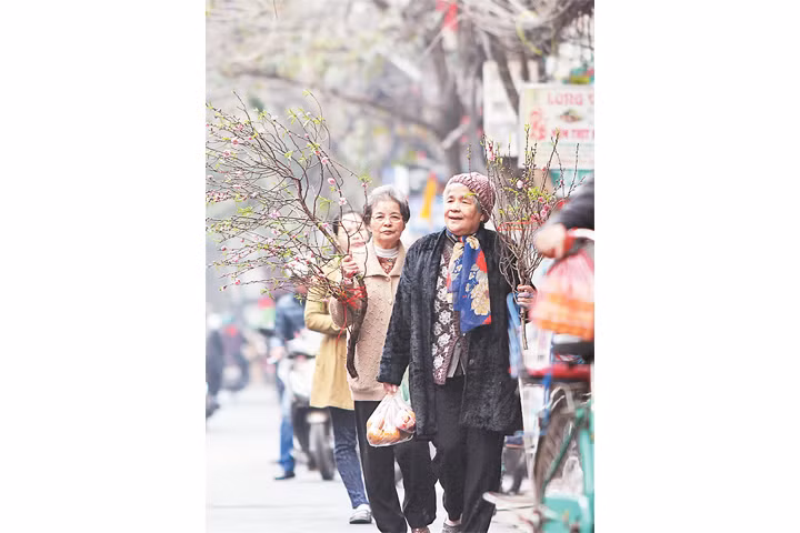 Xuân trong phố cổ ảnh 4