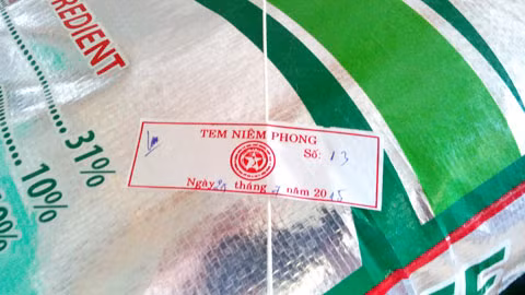 Sớm ngăn chặn hành vi sản xuất, kinh doanh phân bón kém chất lượng ảnh 1