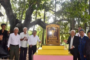 Cây thị tại xã Tân Thủy (tỉnh Vĩnh Long) được công nhận là Cây Di sản Việt Nam.