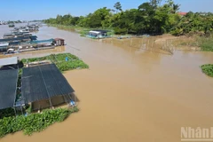 Một góc sông nước xã Cù Lao Giêng.