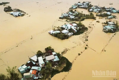Một số khu vực ở phường Quy Nhơn Bắc, Gia Lai, tái ngập (Ảnh AN NHIÊN)