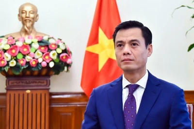 Thứ trưởng Ngoại giao Đặng Hoàng Giang. (Ảnh: Bộ Ngoại giao)