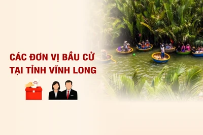 [Infographic] Các đơn vị bầu cử đại biểu Quốc hội tại tỉnh Vĩnh Long