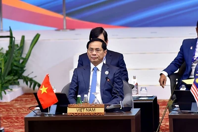 Phó Thủ tướng, Bộ trưởng Ngoại giao Bùi Thanh Sơn tham dự các hoạt động. (Ảnh: Bộ Ngoại giao)