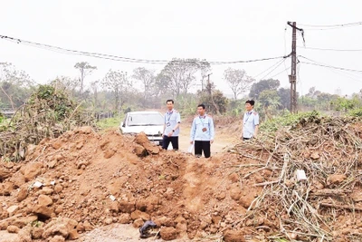 Kiểm soát viên đê điều kiểm tra, xử lý vi phạm tại bãi sông Hồng. (Ảnh VIỆT TUẤN)