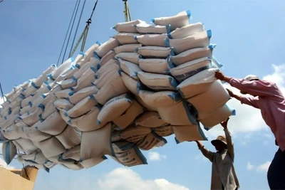 Hàn Quốc tăng cường xuất khẩu gạo