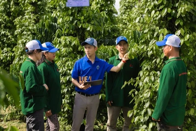 Phúc Sinh trên hành trình xanh hóa nông nghiệp Việt Nam.