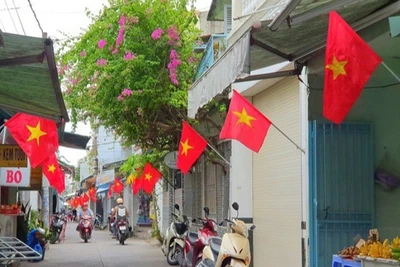 Cờ Tổ quốc đã được treo tại các khu phố ở Cần Thơ.