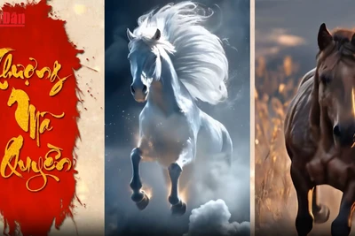 [Video] Xuân Bính Ngọ nói chuyện võ ngựa trong võ cổ truyền Việt Nam