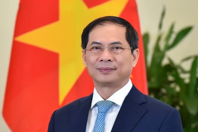 Đồng chí Bùi Thanh Sơn, Ủy viên Trung ương Đảng, Phó Thủ tướng Chính phủ, Bộ trưởng Ngoại giao.