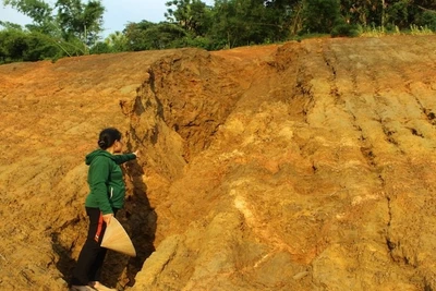 Những rãnh sâu do nước xói mòn làm xuất hiện nguy cơ sạt lở cao tại tổ 4, phường Đức Xuân. (Ảnh: TÙNG VÂN)