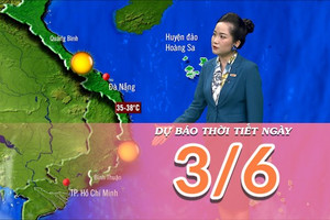 [Video] Dự báo thời tiết ngày 3/6/2025: Mưa dông ở Bắc Bộ và Bắc Trung Bộ