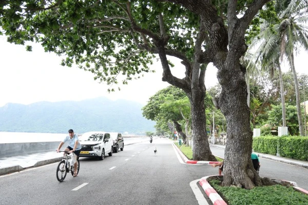 Đặc khu Côn Đảo được định hướng phát triển hiện đại theo hướng bảo tồn không gian xanh. 