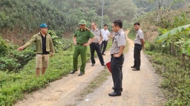 Các chấp hành viên đi thực địa tại tỉnh Lào Cai (cũ) để thi hành án.