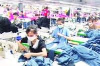 Công nhân may tại Công ty cổ phần Tập đoàn Tiên Sơn Thanh Hóa.