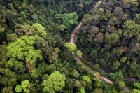 Thay đổi tư duy phát triển rừng